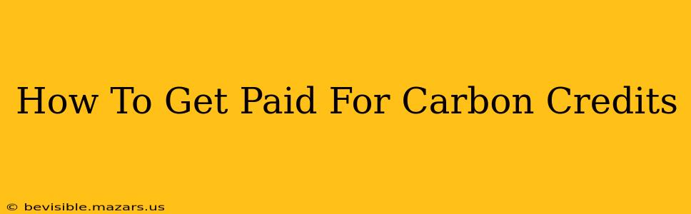How To Get Paid For Carbon Credits